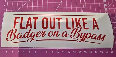 Flat Out, Badger, Funny Car Vehicle Motorbike Sticker Decal, all colours 