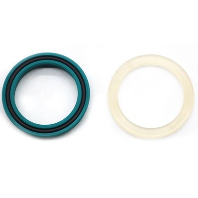 1542875C1 for Case Hydraulic Cylinder Repair Kits g109460 repair Kits Hydraulic
