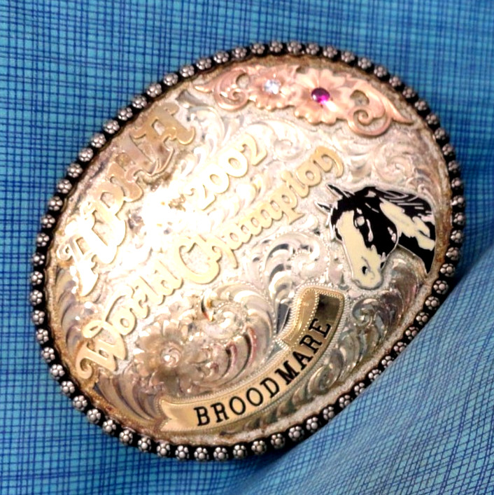 APHA 2002 World Champion Broodmare Belt Buckle SS 10K Overlay Vtg Gist SS.GMP007