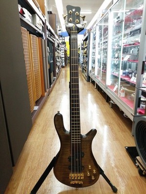 (Warwick) Streamer Stage 1 Classic Line N Gold Hardware Germany Electric Bass