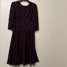 Alex Evenings Lace Bodice Lined Chiffon Dress Size 8 Mother Of Bride Deep Plum