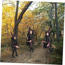 Spooky Witch Yard Stakes Halloween Decorations - 12"x43" Set of 3 Outdoor