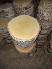 Birkenscheiben 10 x 18-22 cm, Baumscheiben, Holzscheiben, Deko Birke, DIY