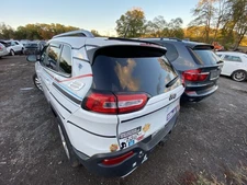 Used Deck Lid fits: 2015 Jeep Cherokee w/rear view camera privacy tint glass Gra