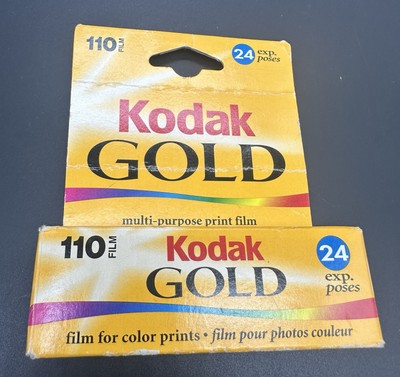 Kodak Gold 110 Film 24-exposure 02-2004