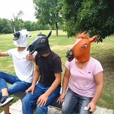 HORSE HEAD MASK COSPLAY COSTUME PARTY FUNNY HALLOWEEN MASK HEADGEAR - H20
