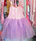 Princess Academy Girls M (3-6) Pink Sequin Tulle Rosebuds Lined Fairy Dress — photo 1