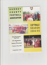 2004-05 AFC Wimbledon v. Walton & Hersham - Surrey Senior Cup Final @ Woking