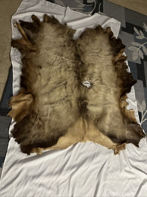 #ad Red Deer Stag Hide Rug Skin Rug Taxidermy Fireplace Deerskin Decor 64”x 54” $179.99