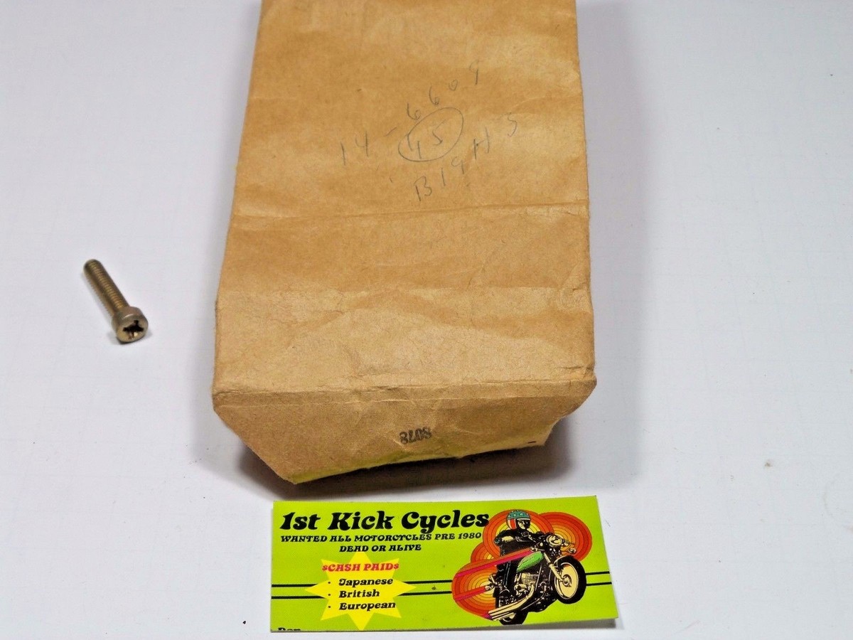 NOS TRIUMPH COVER SCREW, CHEESEHEAD, 1/4