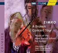 Zimro - A Broken Concert Tour | Various | Audio-Cd | CD | 2008 | Naxos