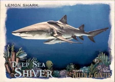 2021 ALLEN AND GINTER DEEP SEA SHIVER #DSS-7 LEMON SHARK