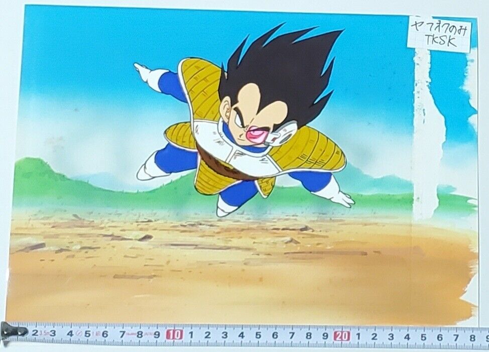 Dragon Ball Z Vegeta and Dodoria Pan Production Cel with Hand-Painted  Background (Toei Animation, 1990), in Heritage Auctions Previews's 7345  International Original Art and Anime Auction October 6 - 8, 2023 Comic Art  Gallery Room