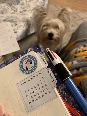 monthly calendar tab for bujo bullet journal diary planner sticker Personalise