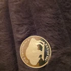 1 TROY OZ 999 SILVER ROUND LIBERTY INDIAN HEAD BUFFALO BRILLIANT ASAHI MINT