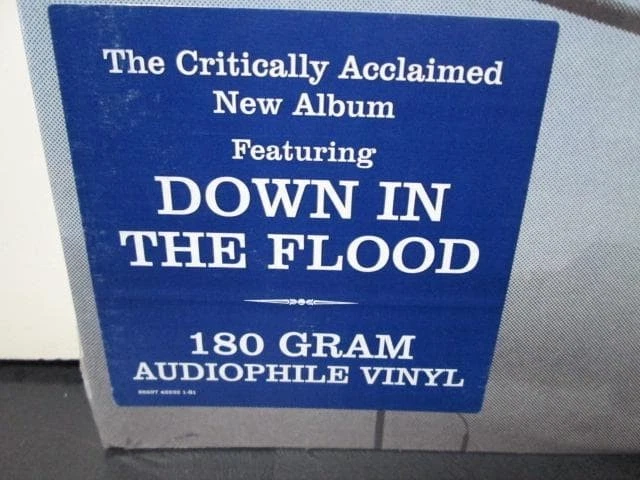 Already Free / Derek Trucks Band Foto 4 de 4