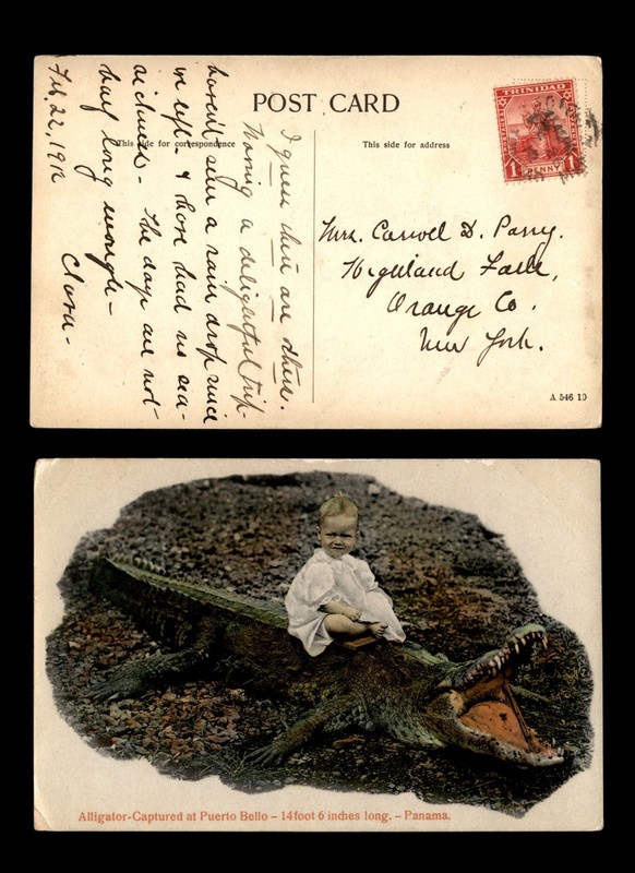 Mayfairstamps Trinidad 1912 to Highland Falls NY Baby Alligator Postcard cca_205