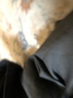 Bild 7 von 10