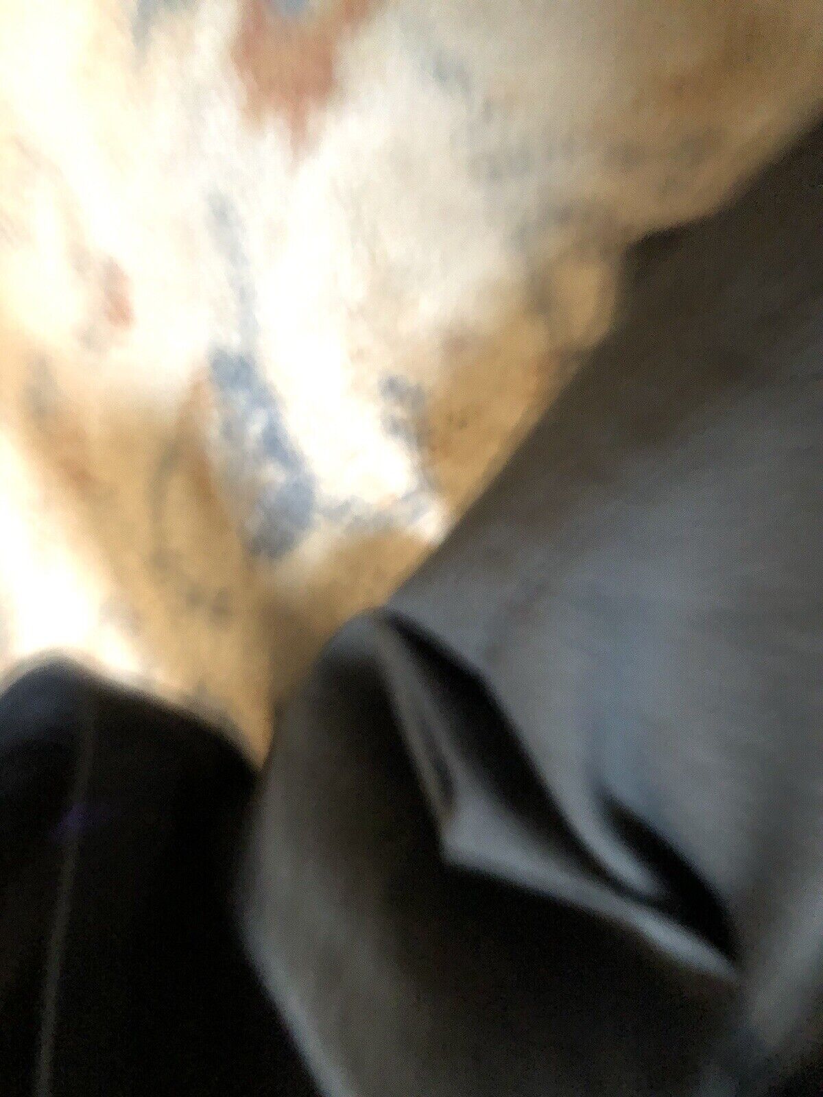 Picture 7 of 10