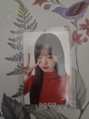 Ive Wonyoung Papa Johns Photocard Md Official Kpop Uk Seller