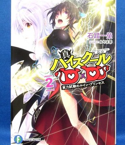 Shin High School Dxd Vol 2 Ichiei Ishibumi Japanese Book Japan New Ebay