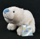 Webkinz Arctic Polar Bear Plush w/ Sealed Code Hm342 Stuffed Animal Toy Ganz