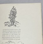 Picture 8 of 10