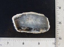 Dendritic Agate     Lapidary Slab                    T967