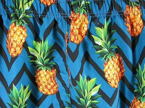 The Image Lined Pineapple Swim Beach Casual Trunks Board Shorts Mens Sz XL NEW - Picture 8 of 9