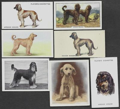 7 Different Vintage AFGHAN HOUND Tobacco/Cigarette Dog Cards
