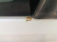 Porte avant et accessoires Peugeot BOXER