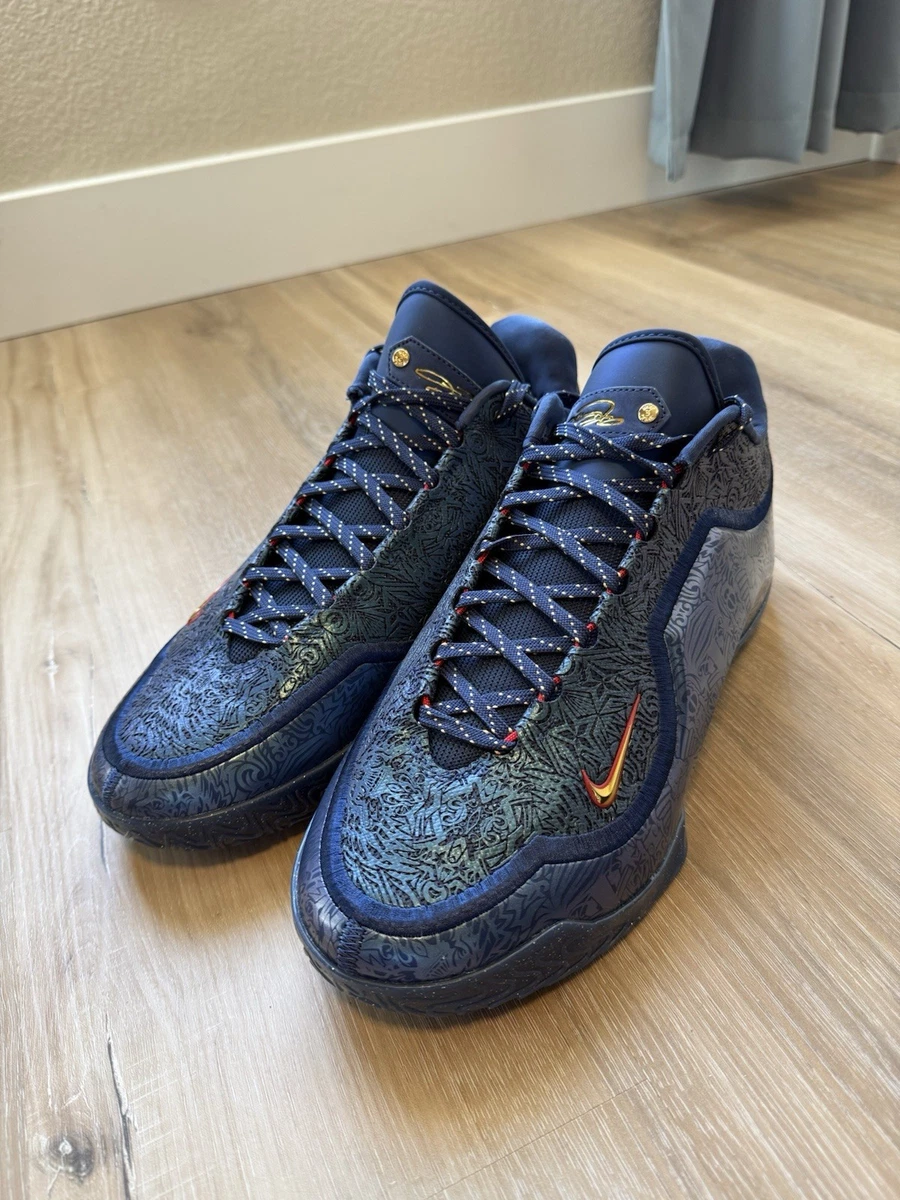 Nike Lebron 23 Out for Redemption for Sale | Authenticity