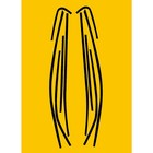 Bild 7 von 7