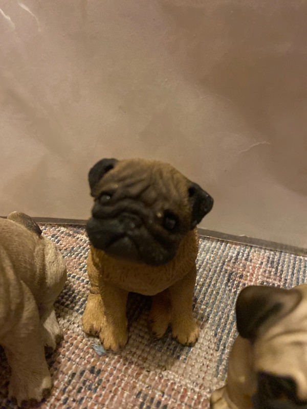 3Pug Dogs seated. one living stone,one sand stone and one porlician