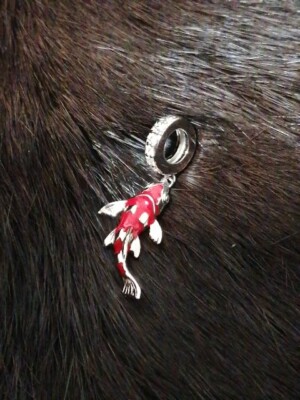   Schmuck Charm Koi Fisch SeaLife Koi Karpfen Japan Silber rot emailliert 