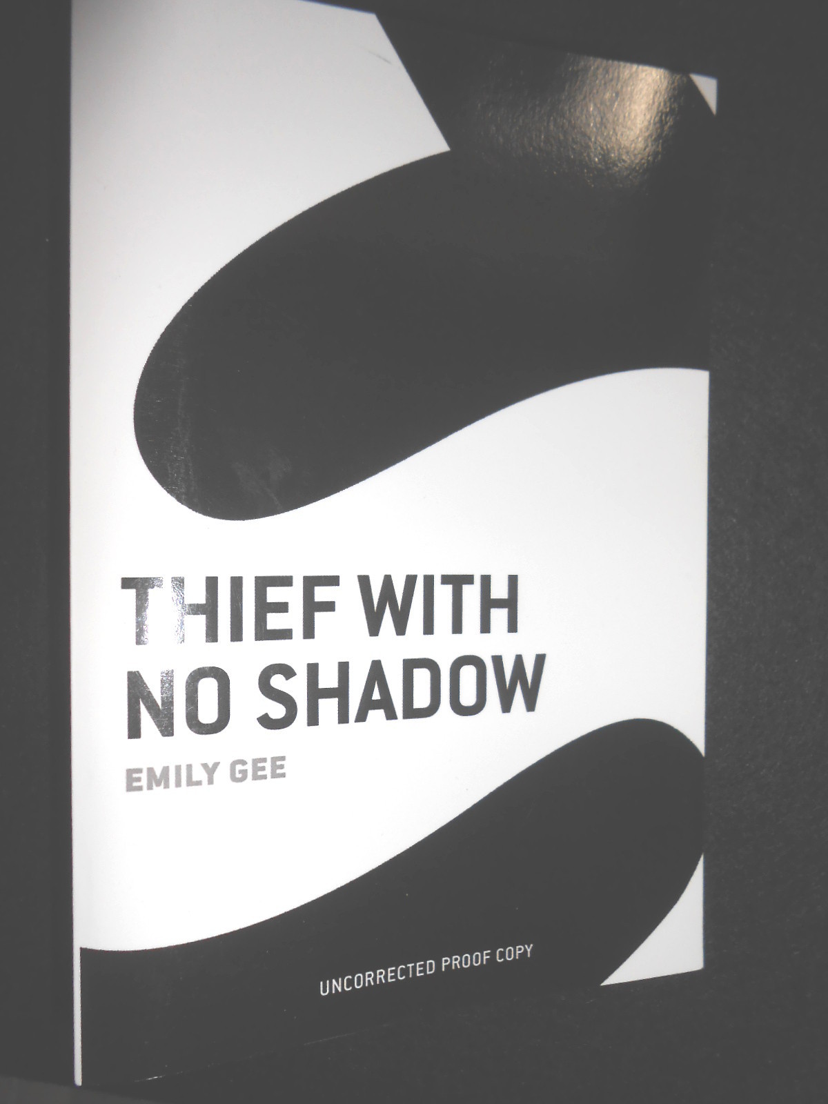 Thief with No Shadow by Emily Gee - 2007-1st - Uncorrected Proof Copy, Fantasy
