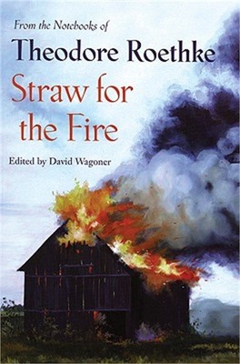 Straw for the Fire: From the Notebooks of Theodore Roethke 1943-63 (Paperback or