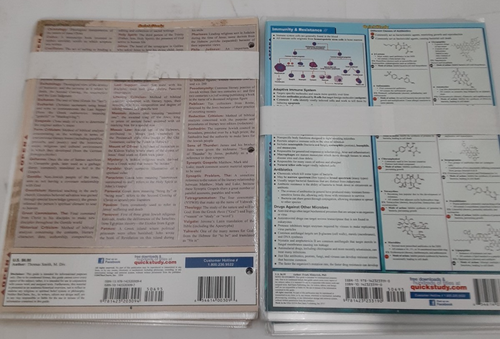Quick Academic Study laminated learning Aids Lot of 20(2 diff charts 10 of each) - 第 2/5 張圖片