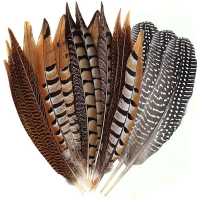 Natural Feathers DIY Craft Pheasant Decorative Party Supplies 12 Pack