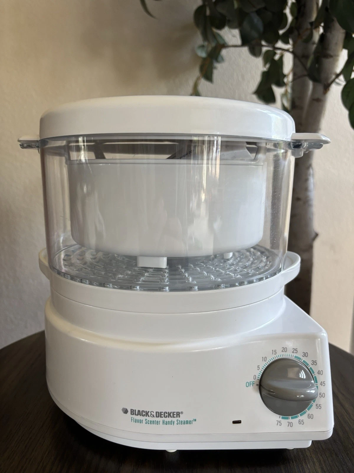 Black & Decker Flavor Scenter Handy Steamer Rice Vegetable Cooker HS800