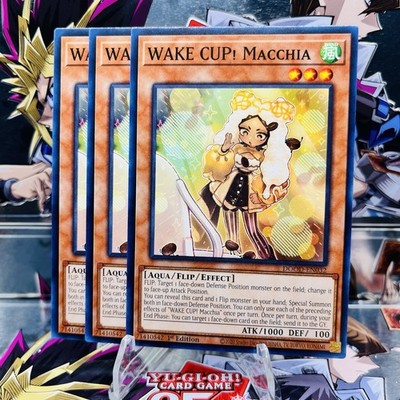 3x Yugioh Playset WAKE CUP! Macchi DOOD-EN032 Common 1st Ed Near Mint