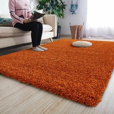 Thick Large Shaggy Rugs Hallway Runner Rug Bedroom Living Room Carpet
