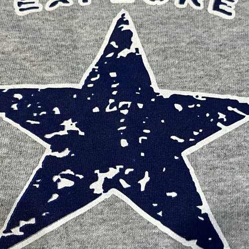 Gray And Blue Cozumel Mexico Graphic Shirt Star Size Small Gildan Tag - Picture 5 of 12