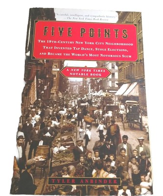 Five Points : The Nineteenth-Century New York City Neighborhood 2002 softcover