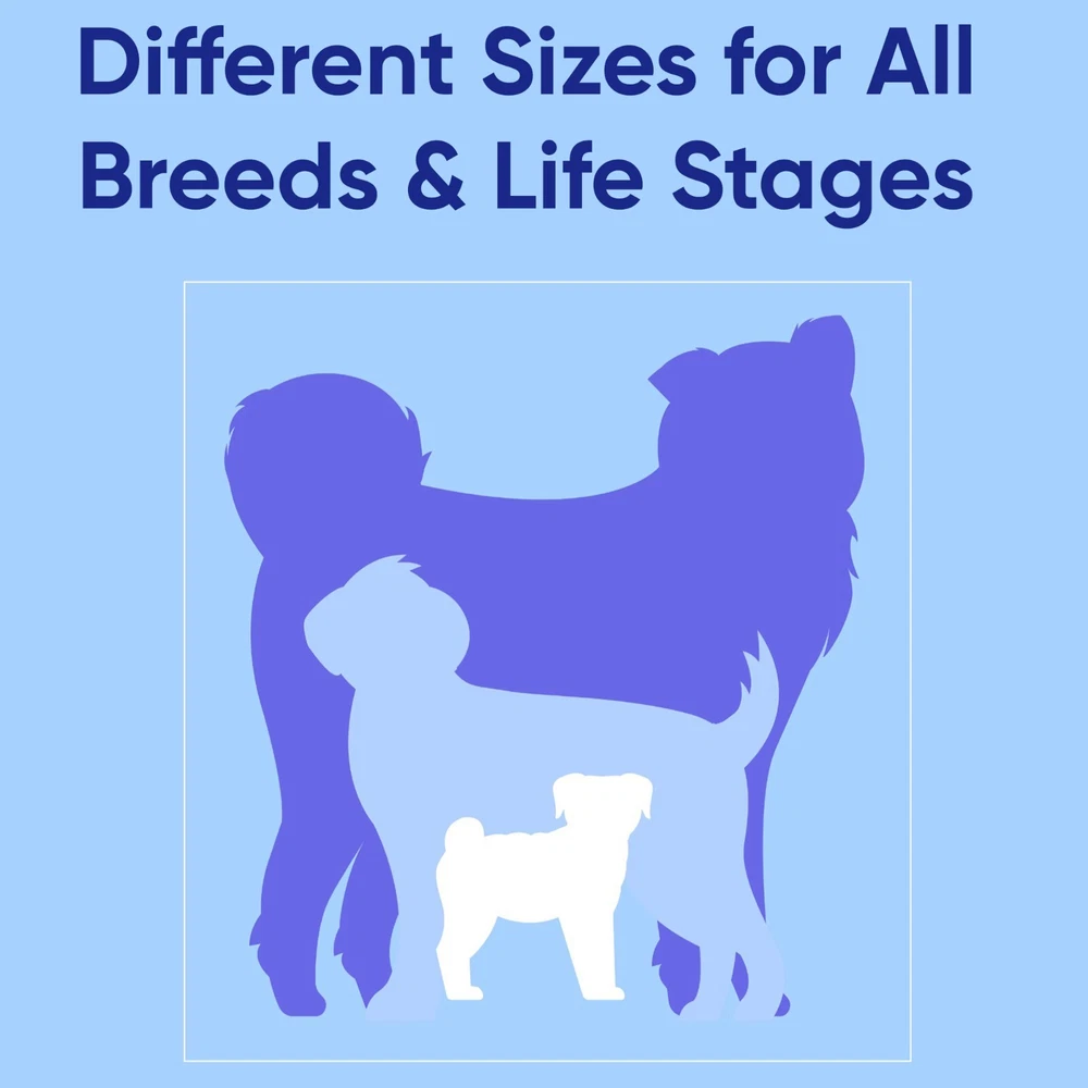 Dog Harness or Puppy Harness available Extra Small Small Medium Large Solid