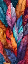 Abstract Colorful Feathers Picture Canvas Home Decor Wall Art Prints Painting 90