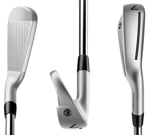TaylorMade P790 IronSet 6-9+Pw 5pc RH Dynamicgold EX Steel Flex s200 New - Picture 2 of 3