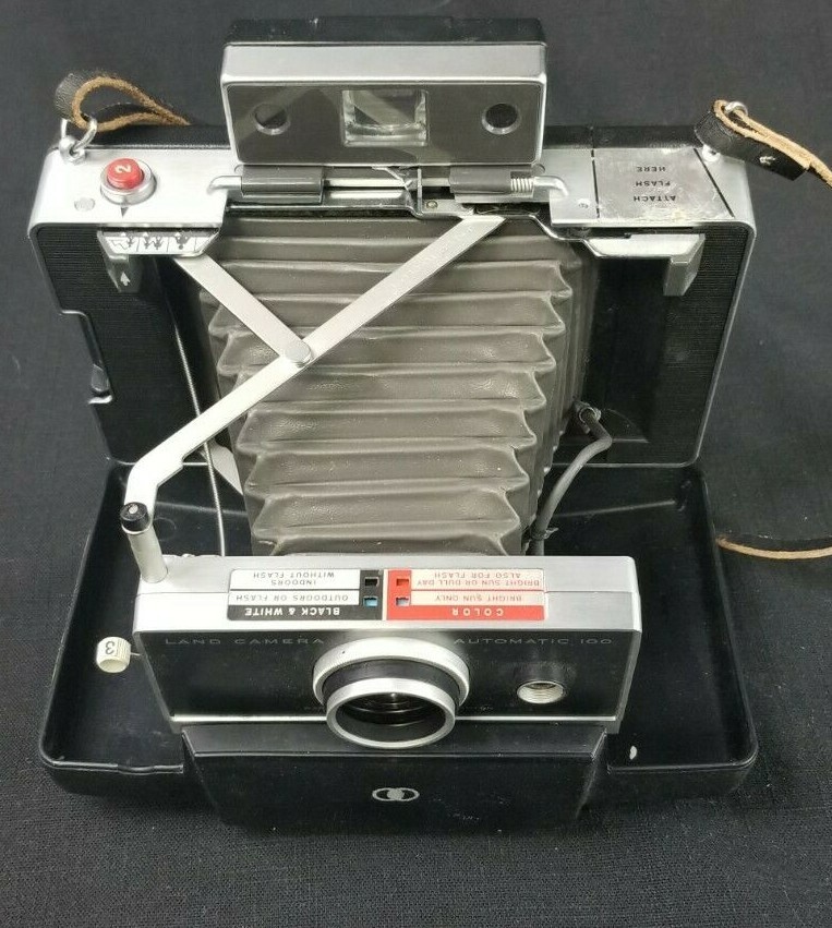 Picture 5 of 12
