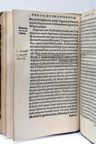 Rare Antique Book THEODORET Existence Providence Handwritten Notes TIGURI 1546 - Picture 6 of 11