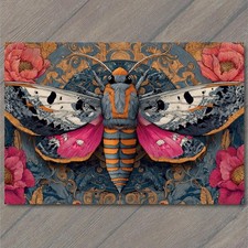 STICKER Colorful Moth Butterfly Insect Floral Flowers Pink Orange Teal Pattern